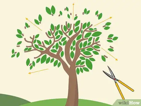 Image titled Prune Brugmansia Step 13