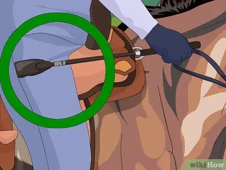 Image titled Ride a Lazy Horse Step 2