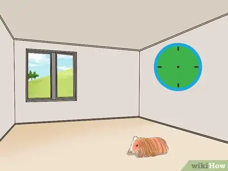 Image titled Care for a Coronet Guinea Pig Step 12