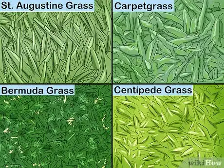 Image titled Choose Sod for Your Yard Step 2