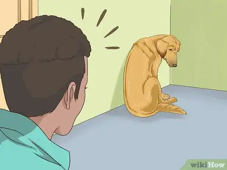 Image titled Manage Behavioral Dysfunction in Older Dogs Step 4