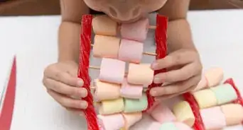 Make an Edible DNA Model