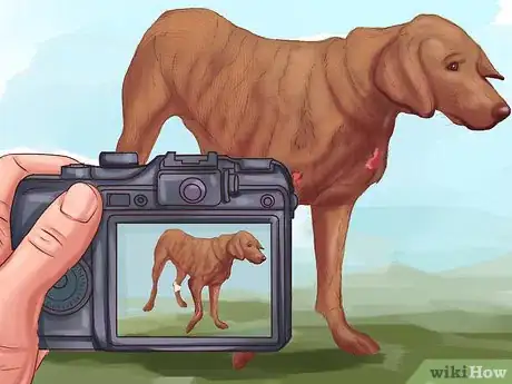 Image titled Report Animal Abuse Step 3