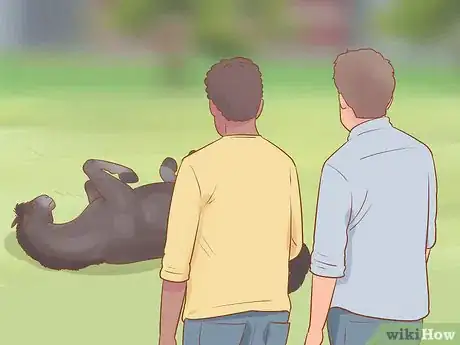 Image titled Uncast a Horse Step 9