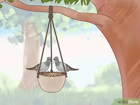 Image titled Encourage Doves to Coo Step 7
