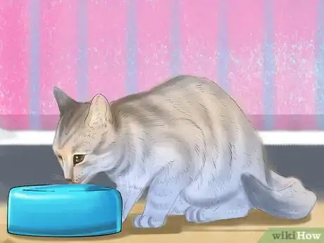 Image titled Give Your Cat a Joint Supplement Step 7