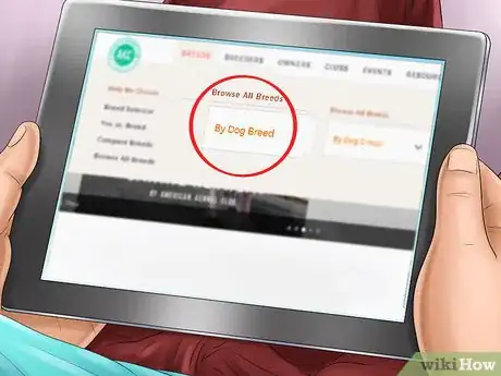 Image titled Find an AKC Puppy Step 6