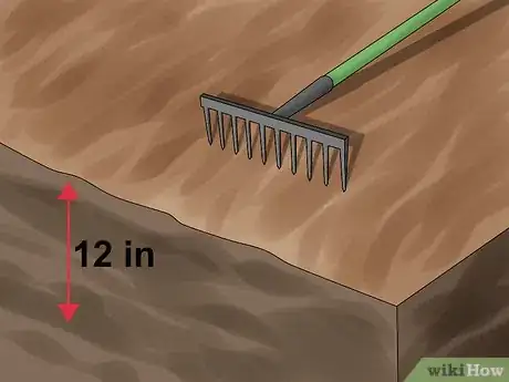 Image titled Divide a Phlox Plant Step 8