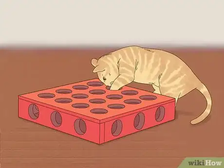 Image titled Deal with Your Cat Pacing at Night Step 7