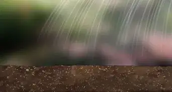 Prepare the Ground for Sod