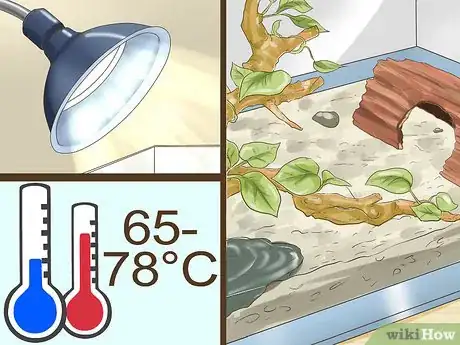 Image titled Care for Fire Belly Toads Step 4