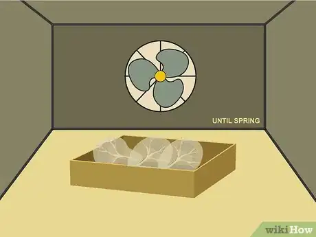 Image titled Prune Dahlias Step 16