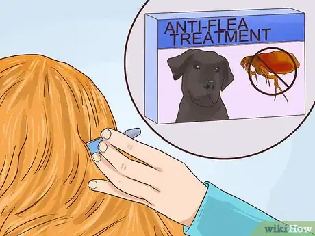 Image titled Prevent Older Dogs from Creating Lick or Scratch Sores Step 11