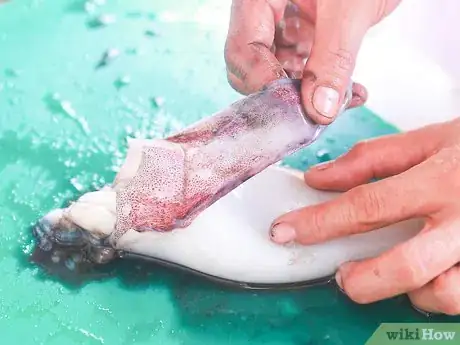 Image titled Cook Squid Step 8
