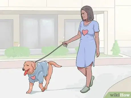 Image titled Dress Your Dog Step 7