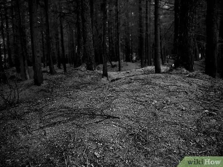 Image titled Write a Chapter Book Step 4