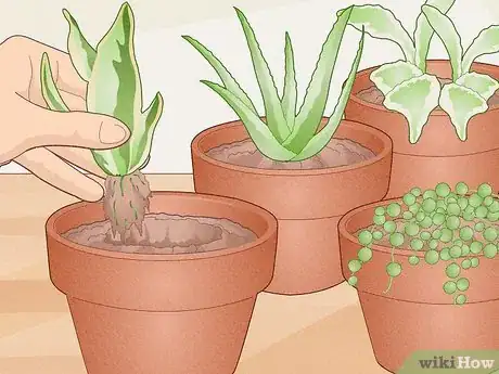 Image titled Make a Mini Garden in Your Room Step 10