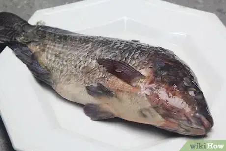 Image titled Cook or Grill a Whole Fish Step 10