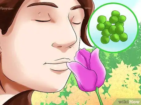 Image titled Eat Tulips Step 7