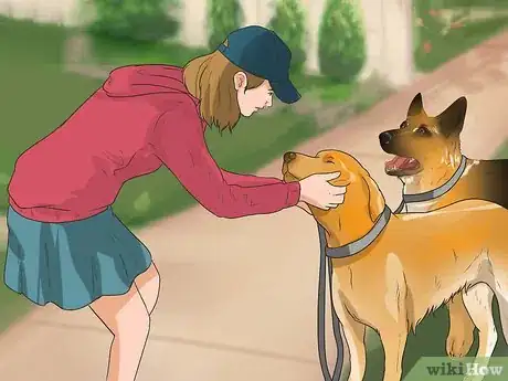 Image titled Walk Two Dogs at the Same Time on Leashes Step 5