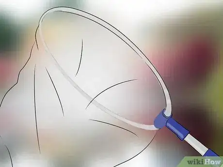 Image titled Make an Insect Catching Kit Step 3