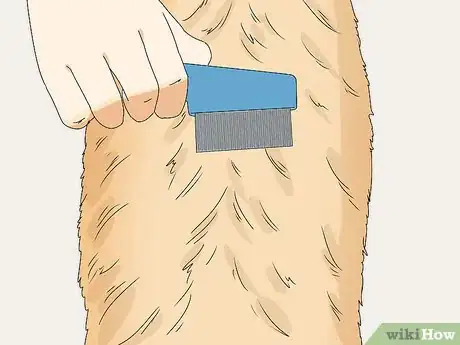 Image titled Prevent Flea Bites Step 16