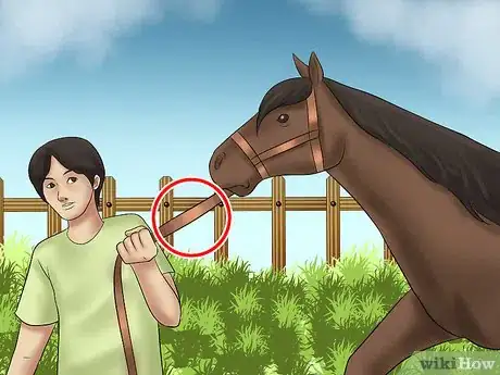Image titled Catch a Horse Step 13