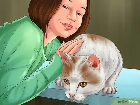 Image titled Choose a Kid Friendly Cat Step 9