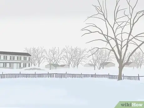 Image titled Care for a Living Christmas Tree Step 9