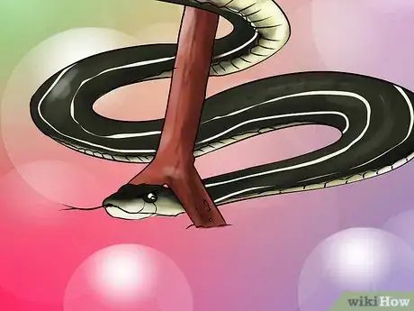 Image titled Catch a Garter Snake Step 13