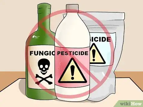 Image titled Plant Allium Bulbs Step 16