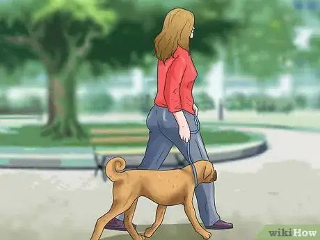 Image titled Care for Puggles Step 21