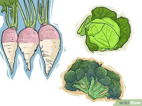 Image titled Choose Vegetables for a Shade Garden Step 3