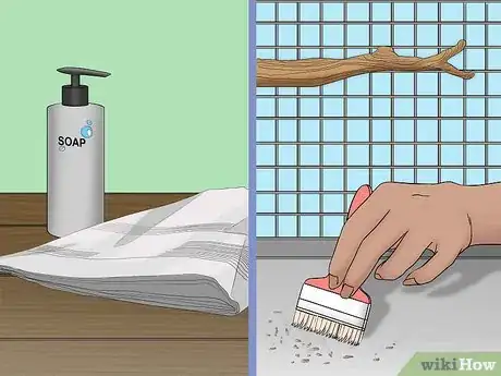 Image titled Calculate the Cost to Adopt a Parrot Step 8