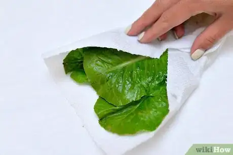 Image titled Use Kale in Sandwiches Step 4