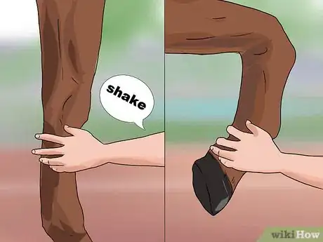 Image titled Train a Horse to Shake a Hoof Step 11
