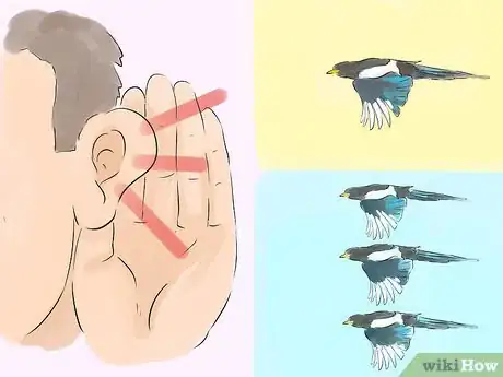 Image titled Keep Safe from Swooping Australian Magpies Step 3