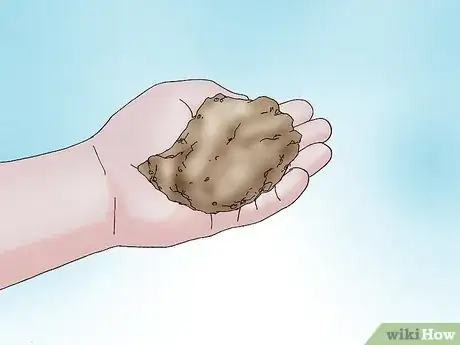 Image titled Grow a Peony in a Pot Step 3