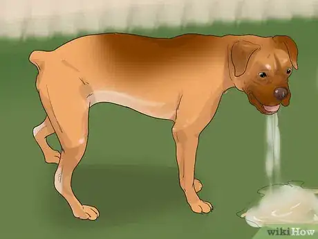 Image titled Prevent Canine Leptospirosis Step 6