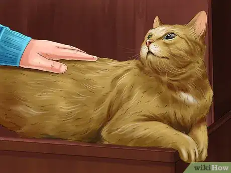 Image titled Choose a Kid Friendly Cat Step 7