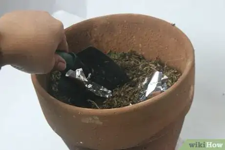 Image titled Use Aluminum Foil for Gardening Step 4