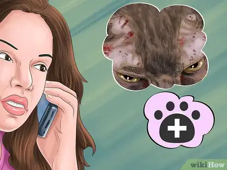 Image titled Know if Your Cat Needs Gluten‐Free Food Step 10