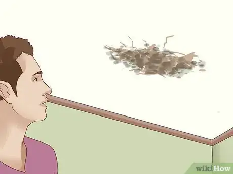 Image titled Remove Ceiling Mold Step 9