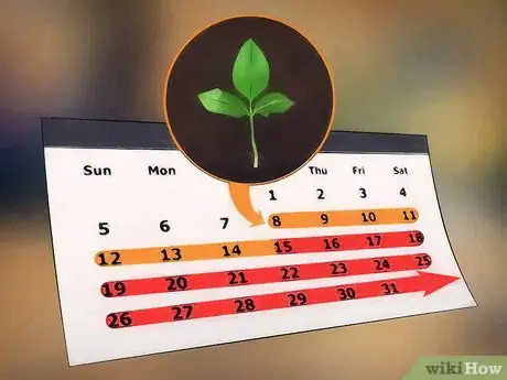 Image titled Plant a Fall Vegetable Garden Step 5