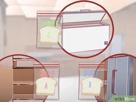 Image titled Make Mold Grow on Bread Step 8