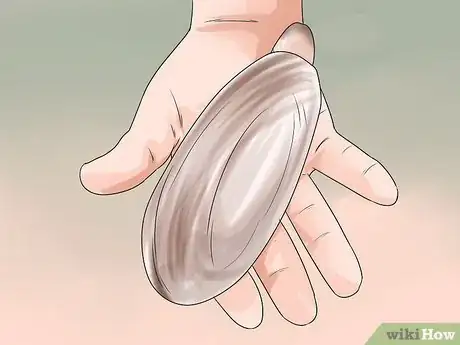 Image titled Dig Pacific Razor Clams Step 13