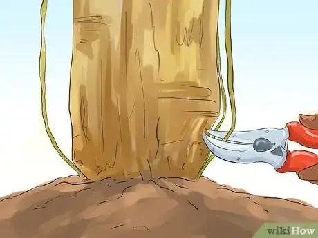 Image titled Prune a Crabapple Tree Step 8