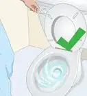 Unclog an Overflowing Toilet