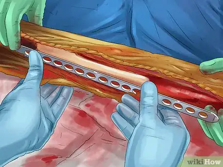 Image titled Treat a Dog with Osteosarcoma Step 6