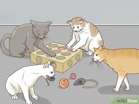 Image titled Encourage Group Scent in Multi‐Cat Households Step 7